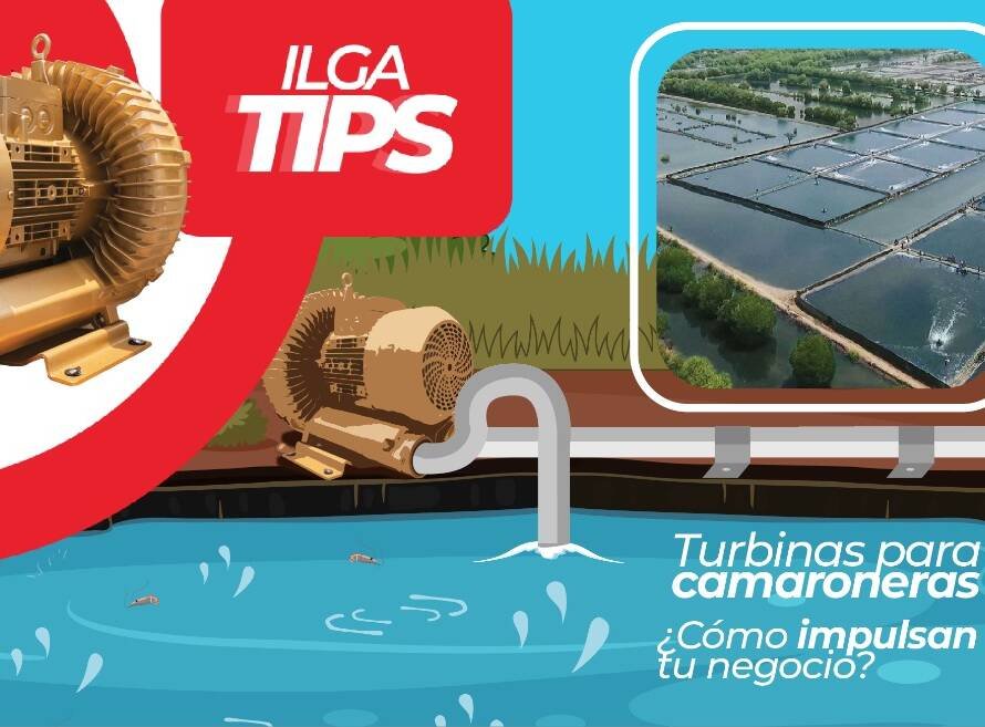 Turbinas para camaroneras WP